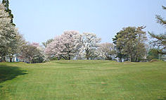 コース情報