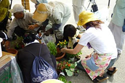 活動報告