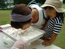 活動報告
